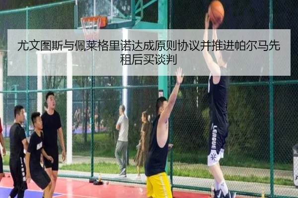 尤文图斯与佩莱格里诺达成原则协议并推进帕尔马先租后买谈判