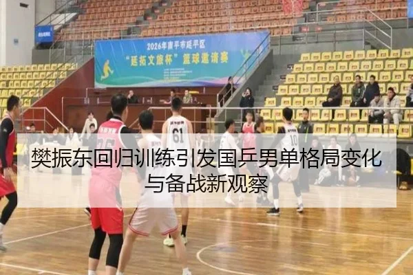 樊振东回归训练引发国乒男单格局变化与备战新观察